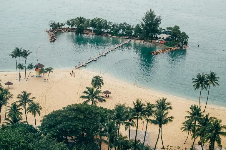 Wooden pier joining a island with palm trees and a sandy beach.