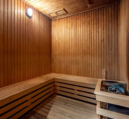 Steam and Sauna Room