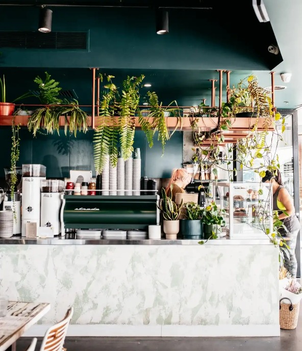 Counter at the Elk Espresso in Broadbeach.