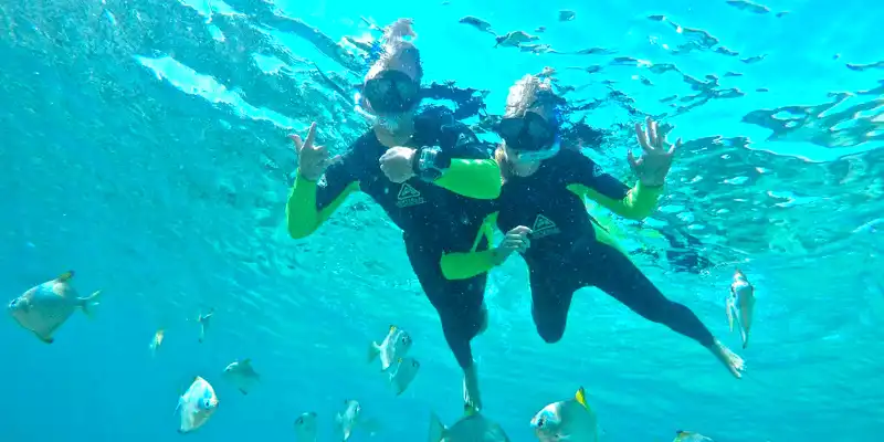 Underwater snorkeling in turquoise waters in Gold Coast.