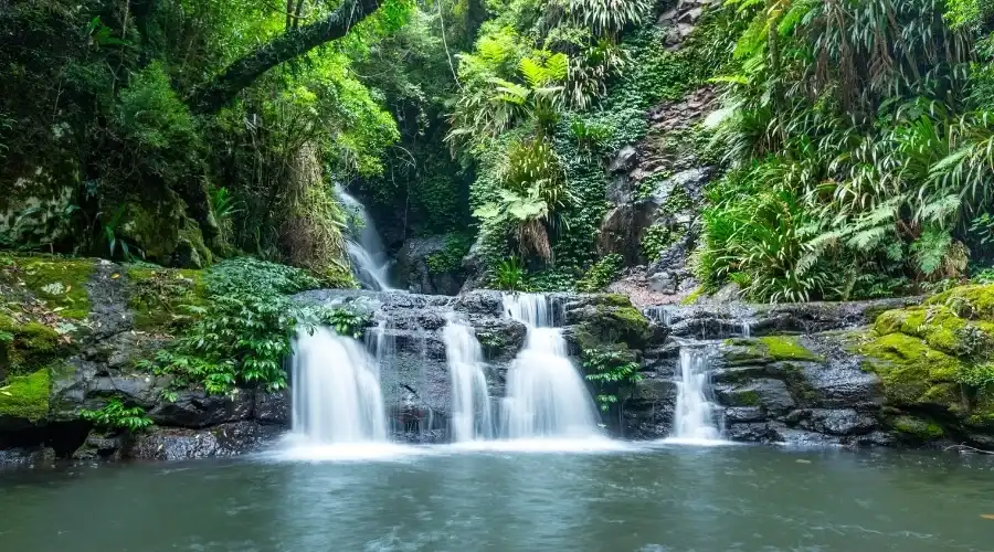 Waterfalls and Greenery at Lamington National Park