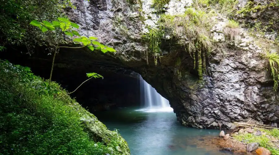 Natural Bridge in Springbrook National Par