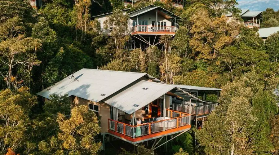 O’Reilly’s Rainforest Retreat accommodation in the treetops