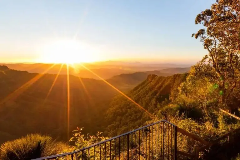 Day Trips to Gold Coast's Enchanting Hinterland