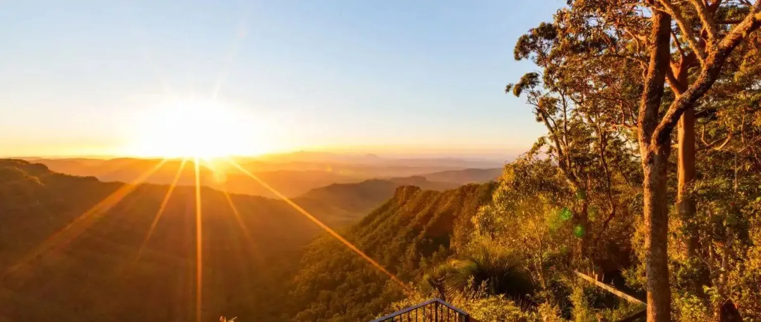 Day Trips to Gold Coast's Enchanting Hinterland