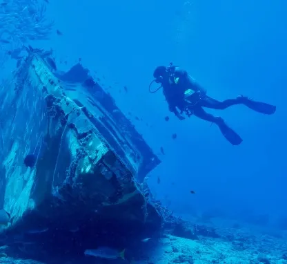 Image of Wreck Diving 