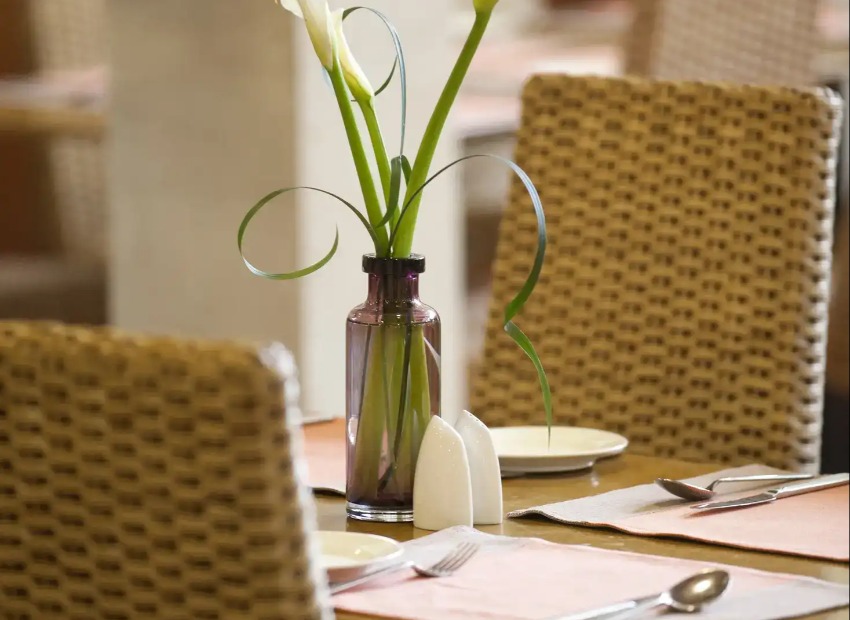 Plant on top of a table in Terazza Brasserie restaurant.