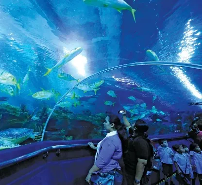 Aquaria KLCC