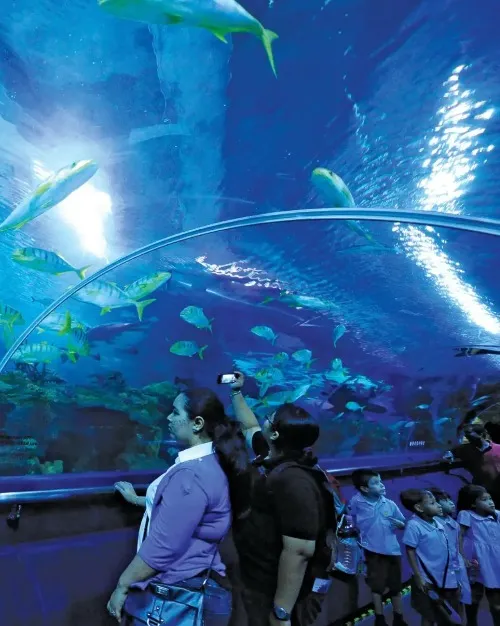 Aquaria KLCC