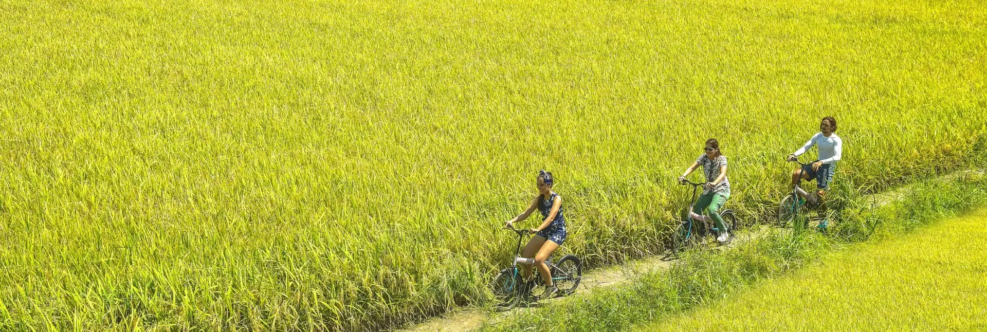 Sekinchan Paddy Field tour offered by Dorsett Grand Subang.