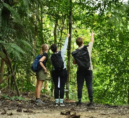 Image of Gunung Nuang Ulra 