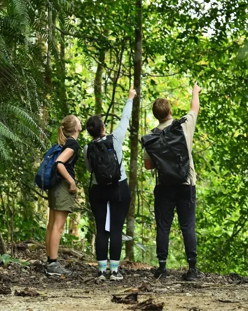 Gunung Nuang Ulra 