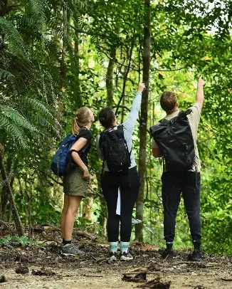 Gunung Nuang Ulra 