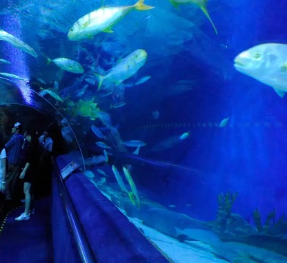 Image of Aquaria KLCC