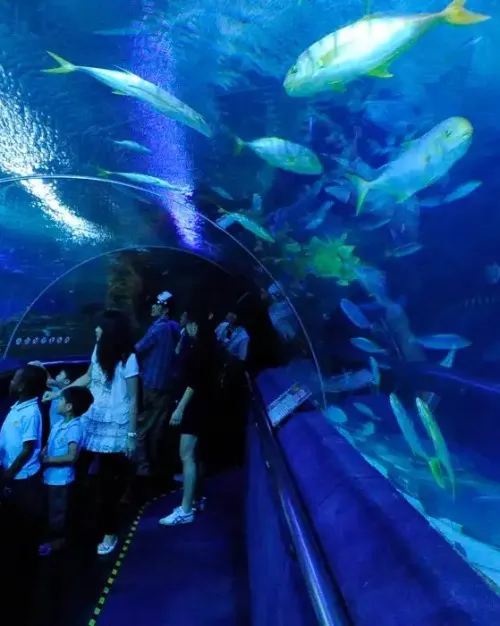 Aquaria KLCC