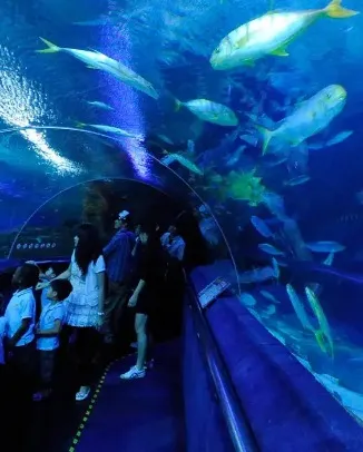 Aquaria KLCC