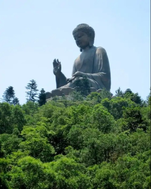 The Big Buddha