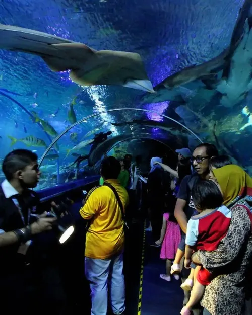 Aquaria KLCC 