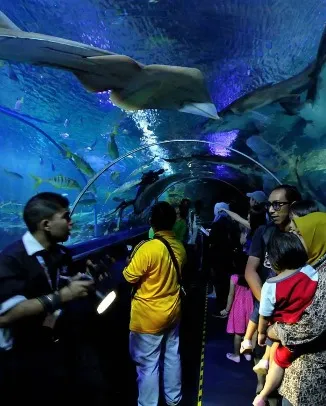 Aquaria KLCC 