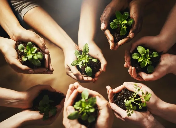 People holing small plants in pots.