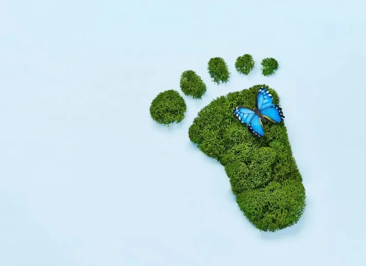 Footprint made of green moss with a blue butterfly.