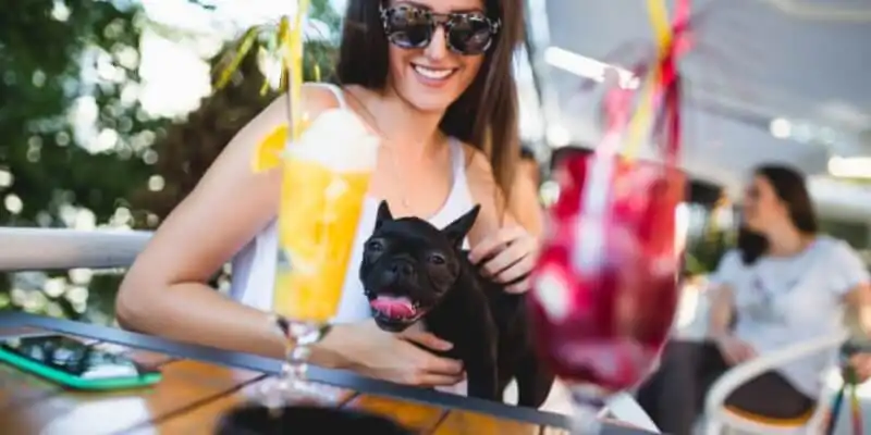 A dog and owner at a pet-friendly restaurant