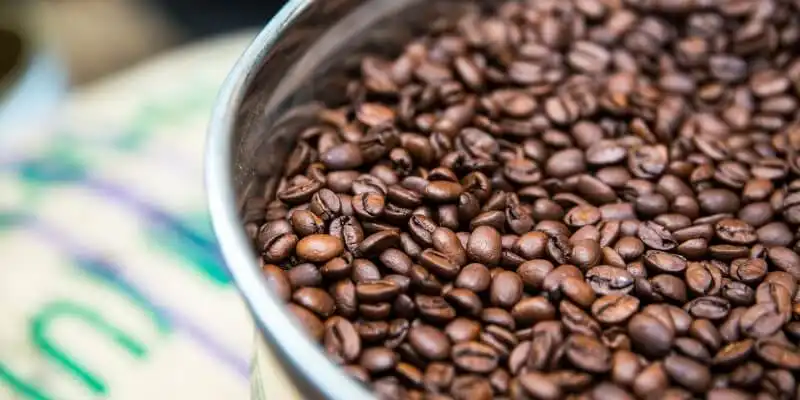 Coffee beans being prepared