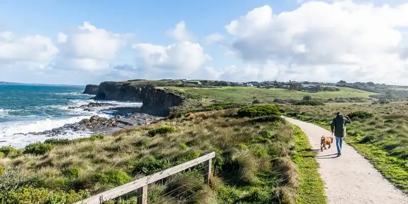 Man walking his dog along the George Bass Coastal Walk