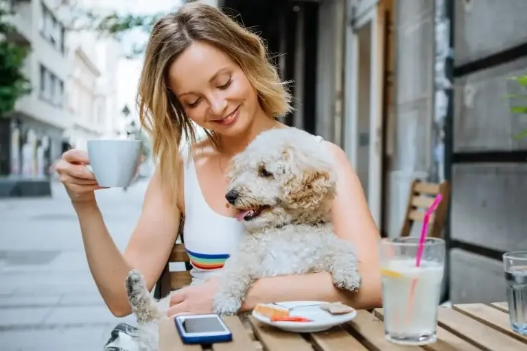 Top 10 Pet-friendly Restaurants and Cafés in Melbourne