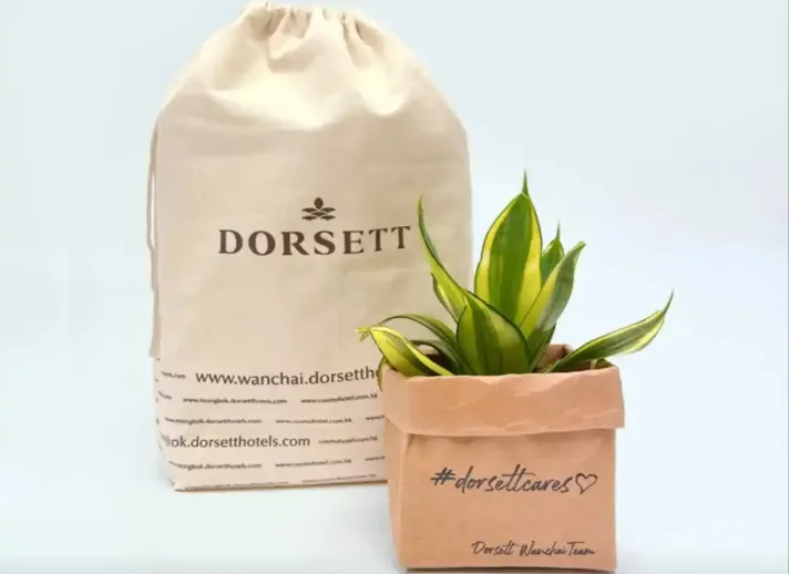 Eco friendly green plant gift at Dorsett Mongkok Hotel