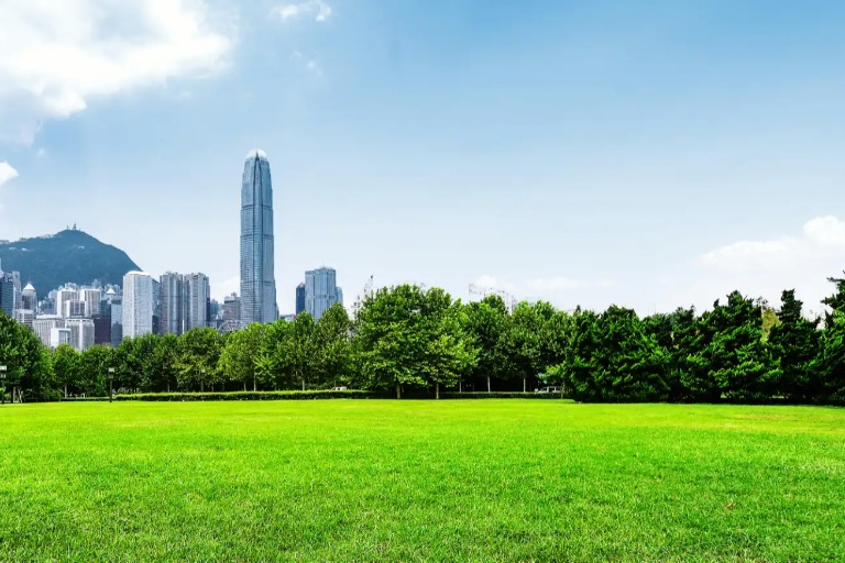 Green grasses and skyscrapers at Mongkok city park