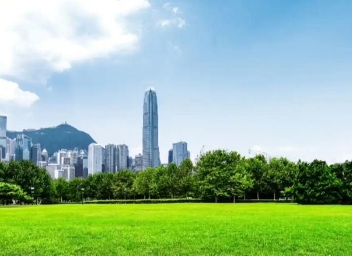 Green grasses and skyscrapers at Mongkok city park