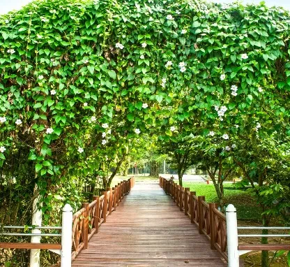 Putrajaya Wetlands Park