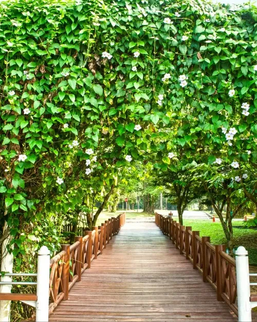 Putrajaya Wetlands Park