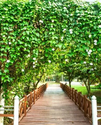 Putrajaya Wetlands Park