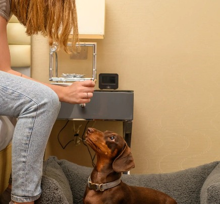 A woman with a pet in a Dorsett Shepherds Bush London Hotel Room.