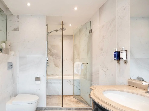 Bathtub, shower and vanity in the Suite Bathroom.