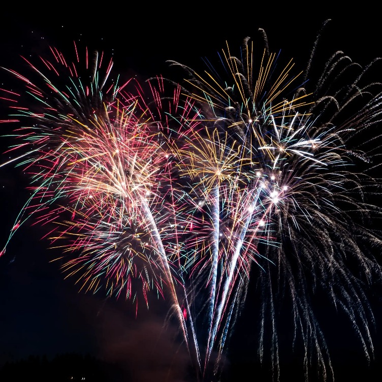 Fireworks with an array of colours in the night sky.