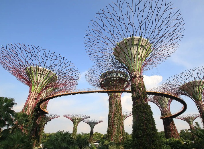 Supertree Grove near the Dorsett Singapore Hotel in Chinatown.