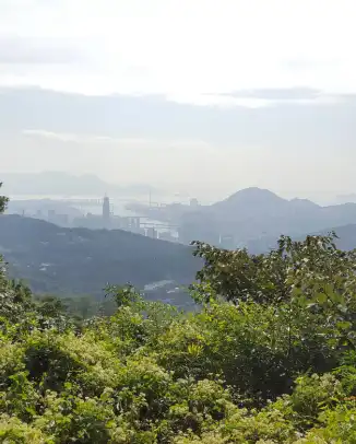 大帽山郊野公園