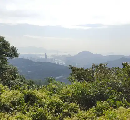 大帽山郊野公園