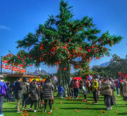 Tai Po Lam Tsuen Wishing Trees – Dorsett Tsuen Wan, Hong Kong