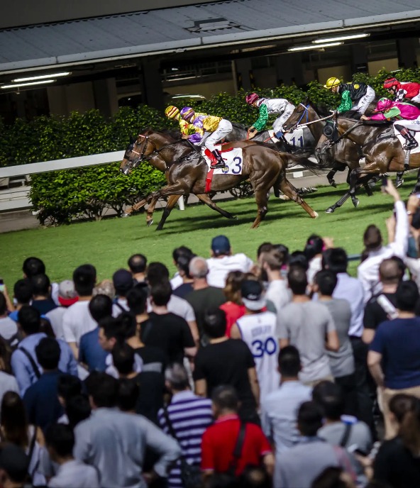 Horse racing in Hong Kong Happy Valley Racecourse near Dorsett Wanchai