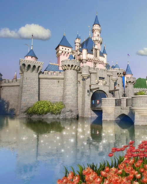 Hong Kong Disneyland Resort