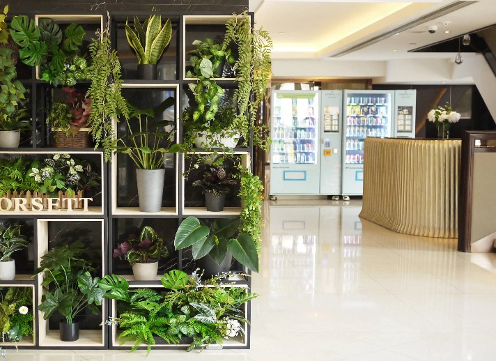 Indoor green plants at Dorsett Wanchai Hotel