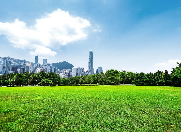 Green grasses and towering skyscrapers scenery in Wanchai City Park