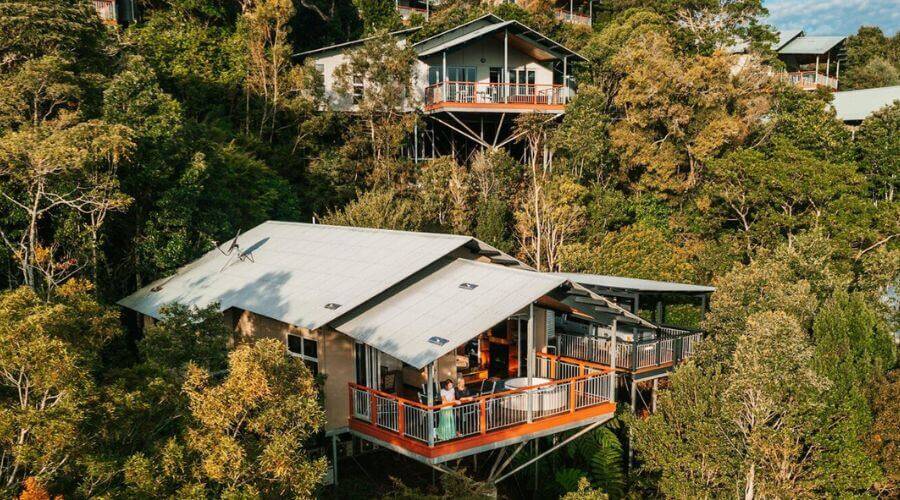  O’Reilly’s Rainforest Retreat accommodation in the treetops