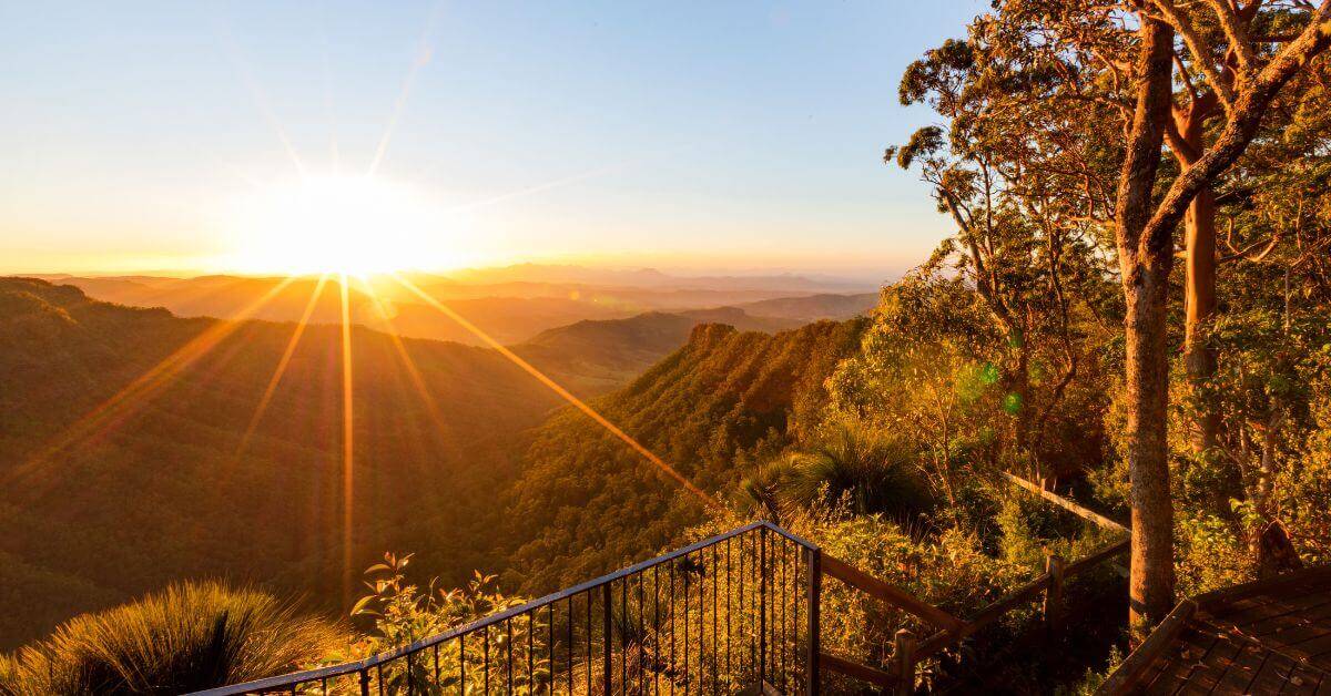 Day Trips to Gold Coast’s Enchanting Hinterland